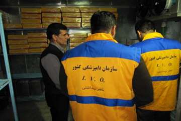 بازدید از مراکز عرضه مواد خام دامی شهرستان رزن