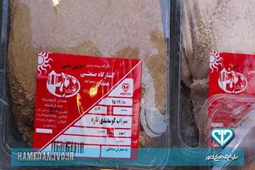 بسته بندی و لیبل گذاری آلایش دامی در استان همدان