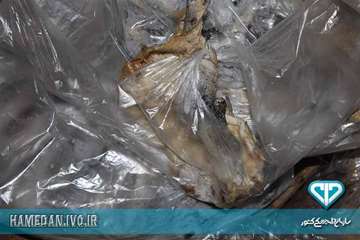 پلمپ سردخانه متخلف