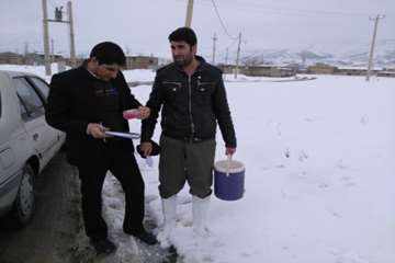 مانیتورینک عملیات واکسیناسیون دام توسط رئیس اداره دامپزشکی شهرستان اسدآباد