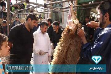 نظارت بازرسان اداره کل دامپزشکی استان همدان بر دام های قربانی در ایام عاشورا و تاسوعای حسینی