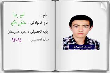 دانش آموزان ممتاز درسی در سال تحصیلی 95-94