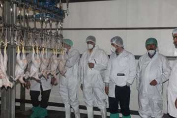 بازدید کارشناسان سازمان دامپزشکی کشور از کشتارگاه طیور در استان همدان