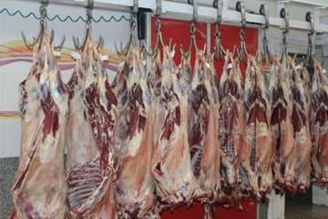 بازدید از کارخانه بسته بندی مواد خام دامی هگمتانه