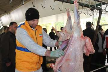 نظارت بهداشتی تاسوعا و عاشورا 93