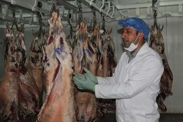 بازدید از کارخانه بسته بندی مواد خام دامی هگمتانه