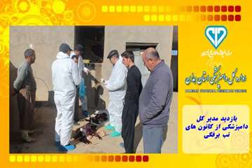 بازدید مدیر کل دامپزشکی از کانون های تب برفکی
