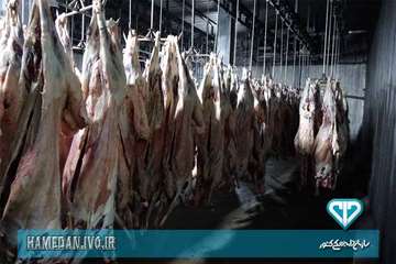 مراسم افتتاح پیش سرد کشتارگاه دام صالح آباد همدان