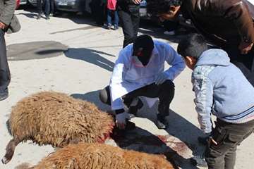 نظارت بهداشتی تاسوعا و عاشورا 93