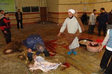 عيد قربان سال 90