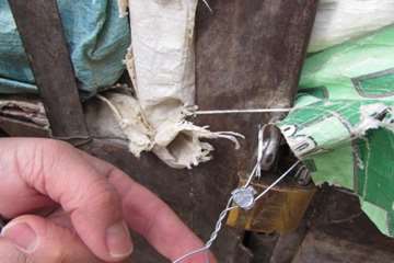 پلمپ مرغداری غیرمجاز