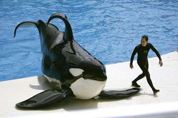 تصاویر جالب 3