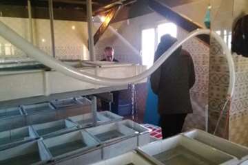 بازدید از مزرعه پرورش تخم چشم زده ماهی