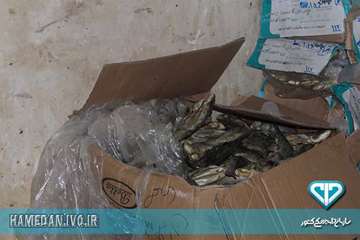 پلمپ سردخانه متخلف