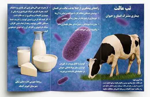 بروسلور و راههای پیشگیری از آن