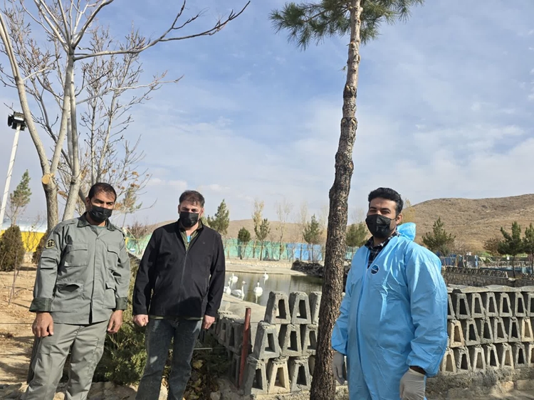 بازدید مشترک ادارات دامپزشکی و  حفاظت محیط زیست شهرستان کبودرآهنگ از باغ وحش و مراکز فروش پرندگان 