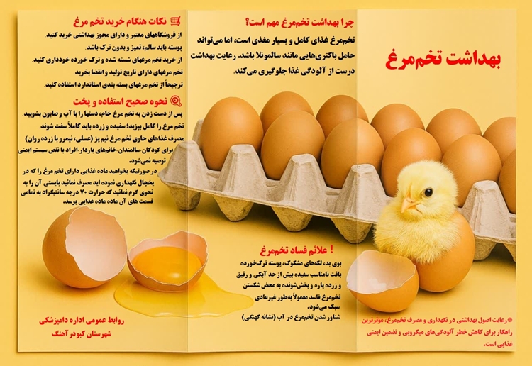 آنچه که باید در سلامت تخم مرغ بدانیم