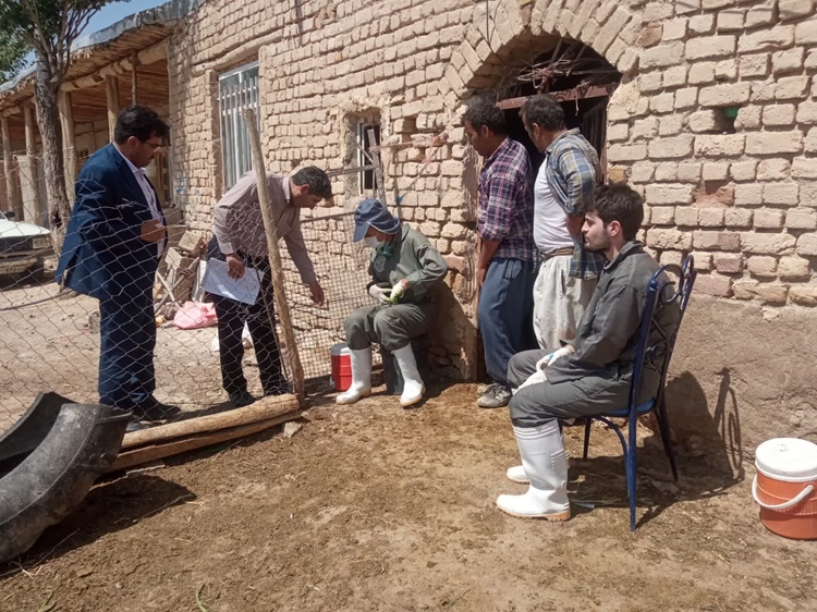 مانیتورینگ و بررسی واکسیناسیون تب مالت ،آبله  بخش دولتی و  pprبخش خصوصی حین و بعد عملیات 